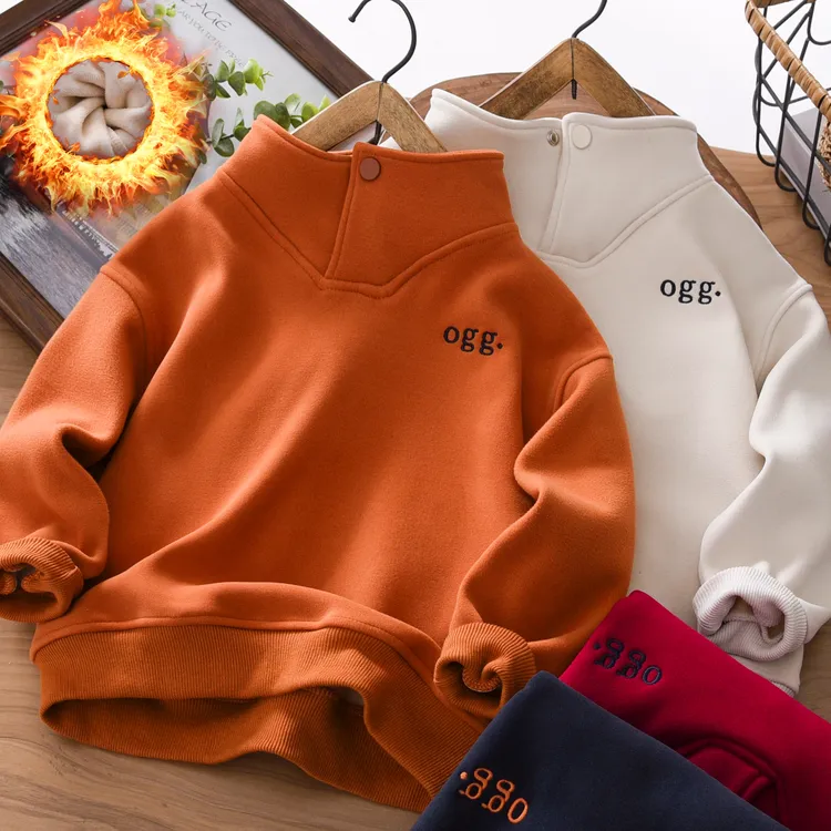 男童加绒卫衣冬季2025新款中大童儿童装立领休闲长袖