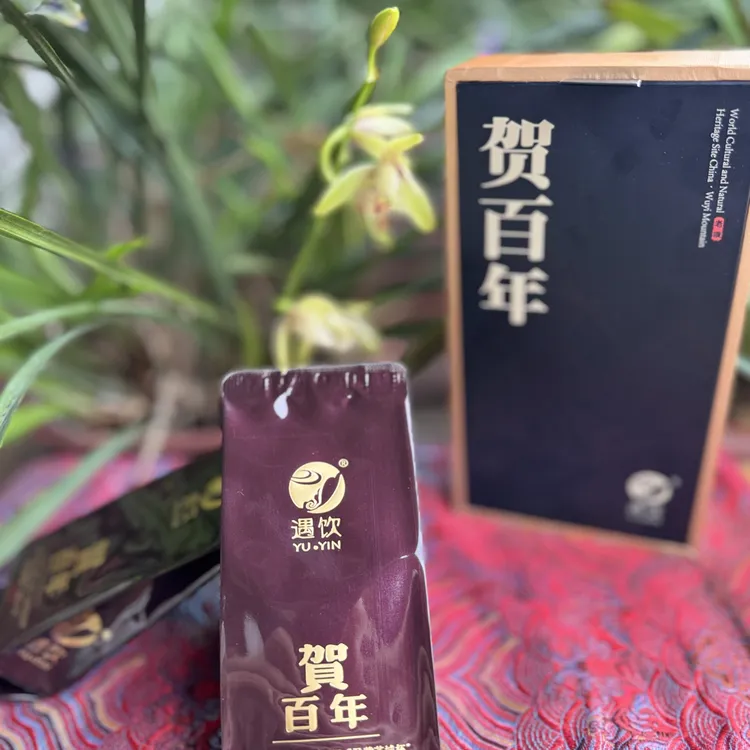 （小贺百年）正岩木质枞