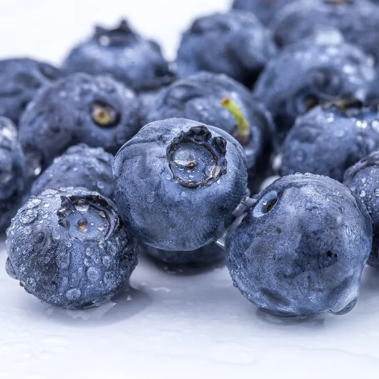 【均礼】云南蓝莓4盒/12盒装果径15mm+/18mm+ 125g/盒