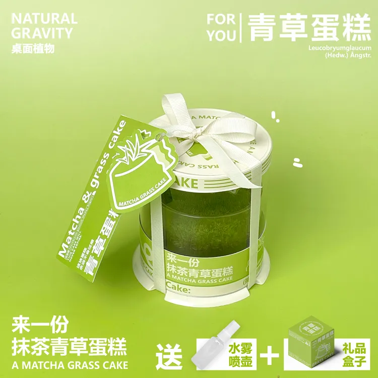 自然引力-青草蛋糕生日礼物鲜活苔藓抹茶2寸蛋糕盆栽创意送人礼品
