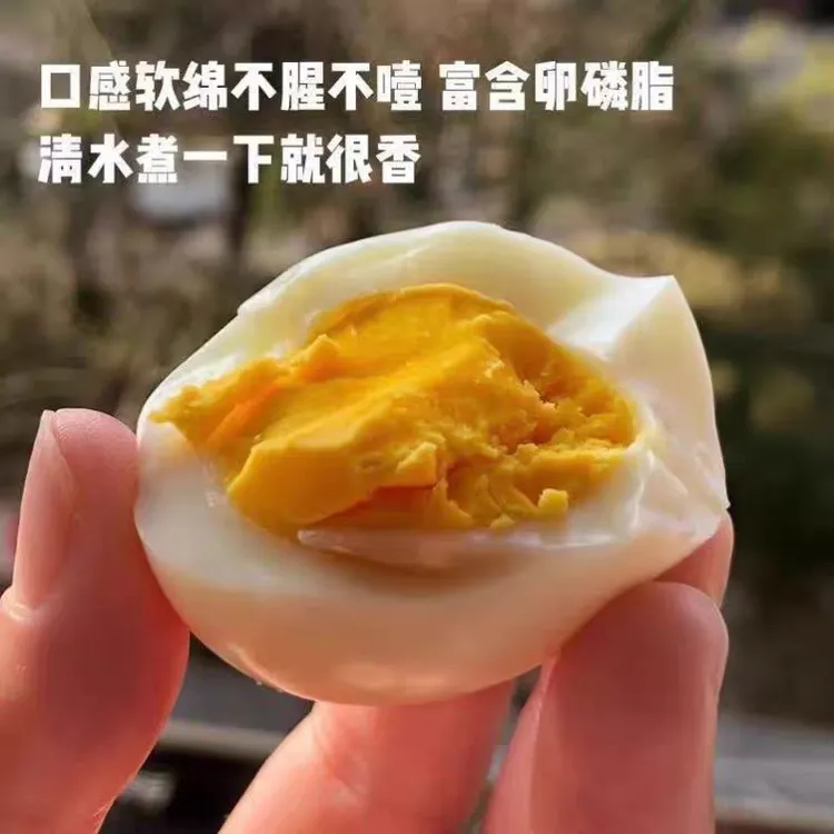 农家散养新鲜正宗土鸡蛋营养高蛋白初生蛋