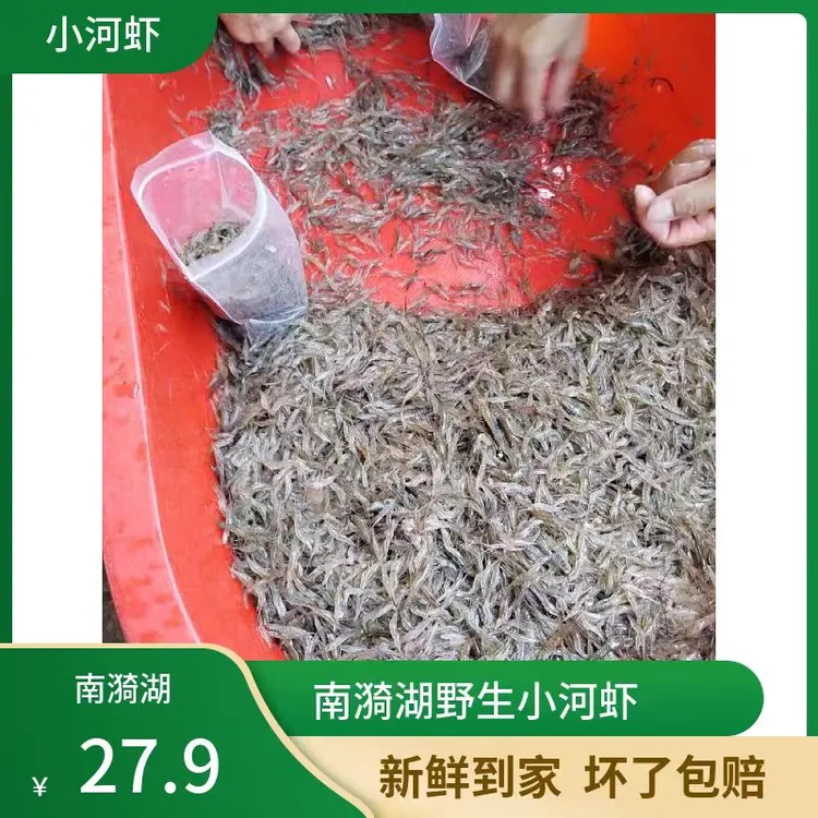 徽凌安徽宣城小河虾鲜活速冻淡水小虾米小白虾小现捕发出包邮河虾