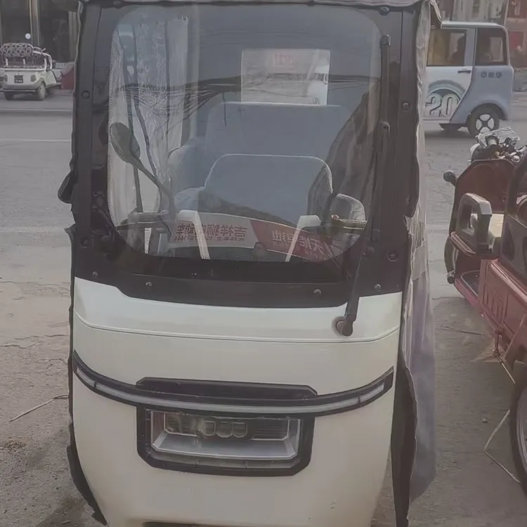 大安飞跃10小刀指挥官电动三轮车一体式篷布