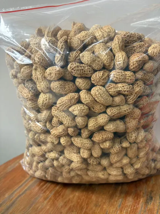 新货原味柴火铁锅水煮花生香酥脆好吃不上火