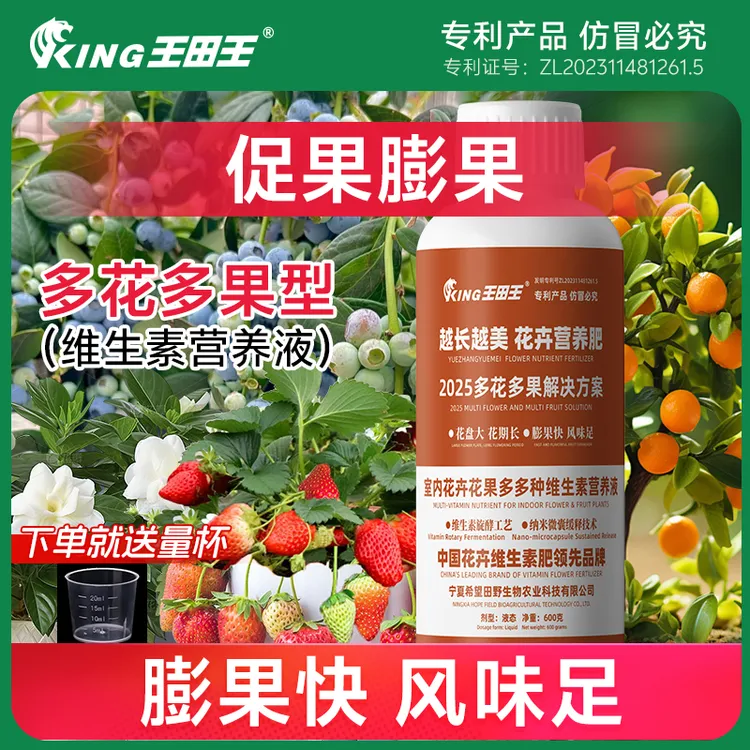 王田王开花素型花卉盆栽观花植物蝴蝶兰三角梅肥料维生素营养液