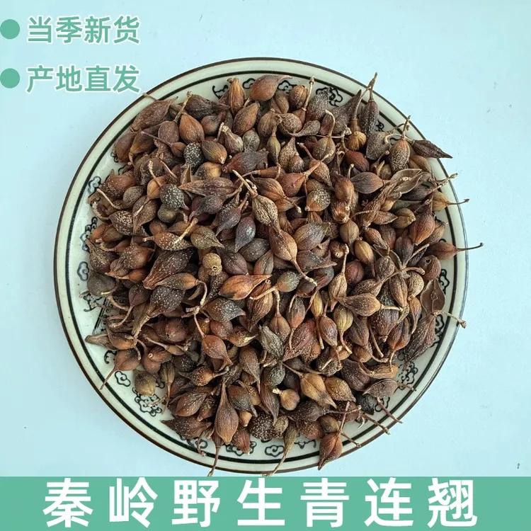 秦岭野生连翘中药材 无硫精选深山连翘味浓连翘茶