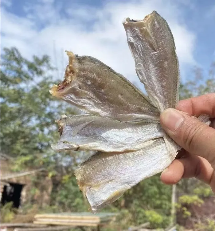 舟山本地梅鱼干 小黄鱼干 去头去内脏 梅鱼鲞海鲜干货