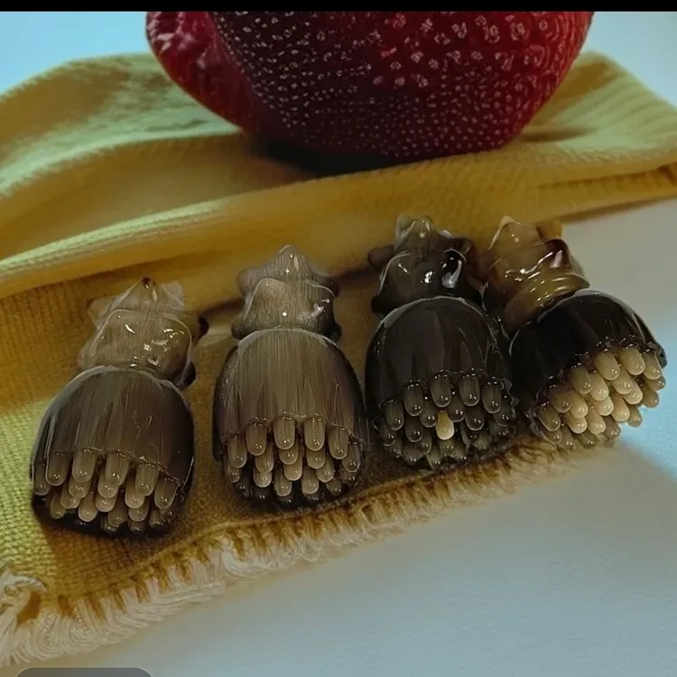 精品眼部高原白牛角按摩梳八爪葫芦头疗梳按摩梳手把件16-18cm