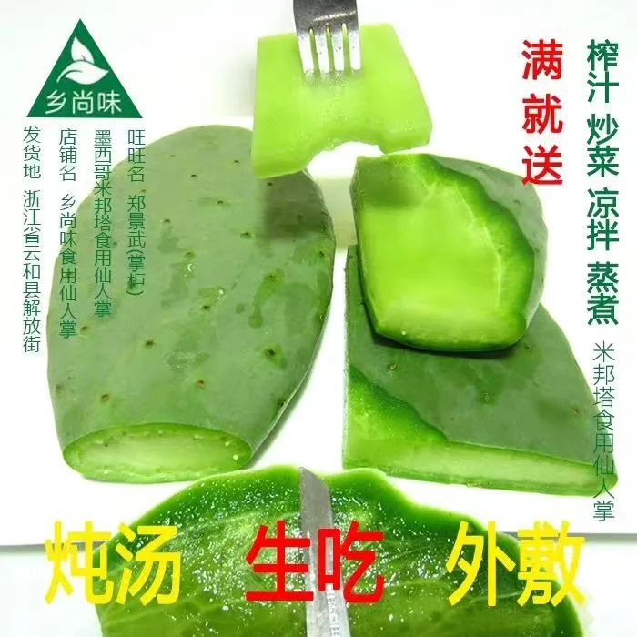 带花苞仙人掌盆栽食用可吃种植片好养结果超大老树仙人掌