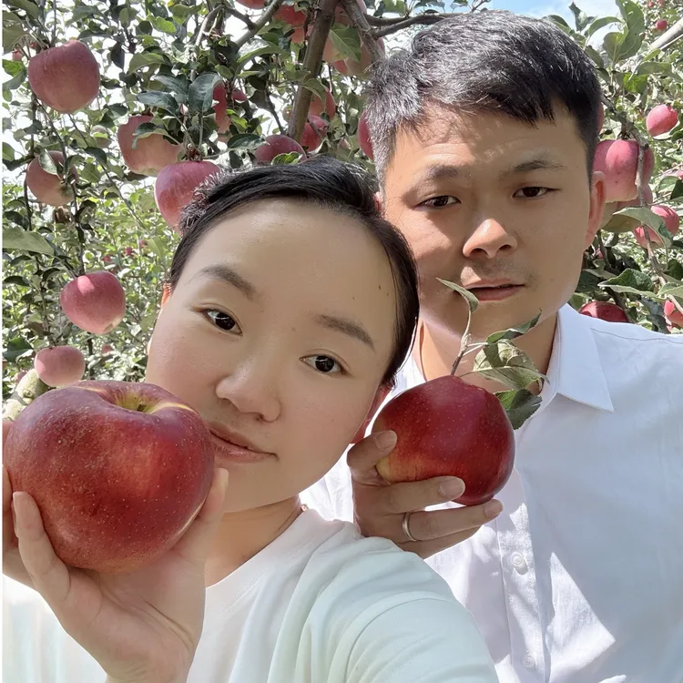 云南昭通甜蜜苹果新鲜水果现摘现发冰糖心丑苹果3斤5斤10斤