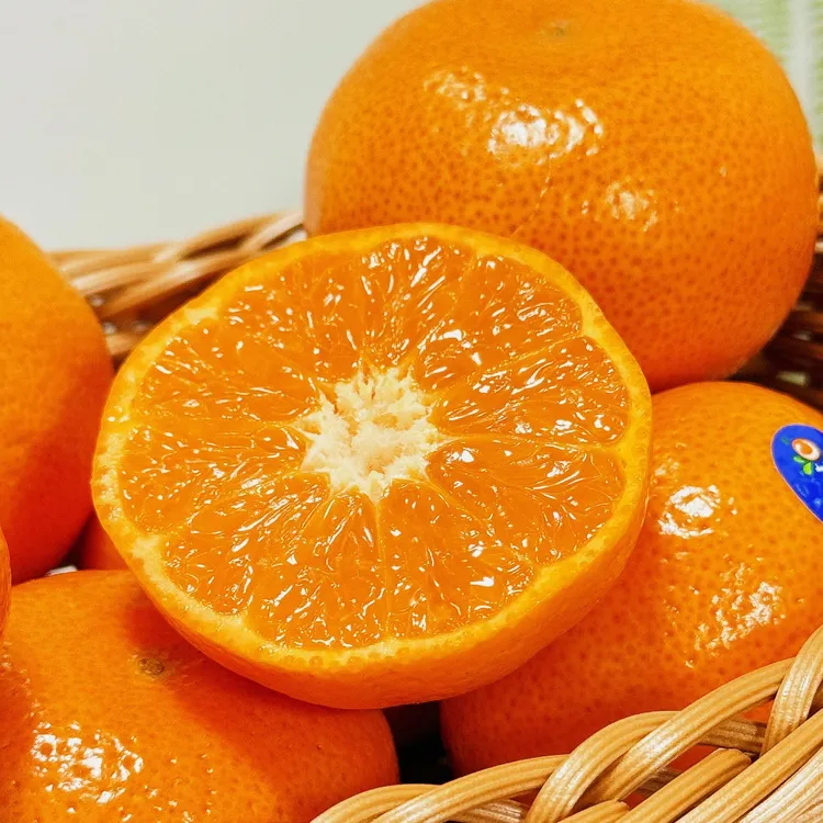 森叔源选 当季限定SweetC冰激菱蜜柑高端品种3/5斤装【顺丰包邮】