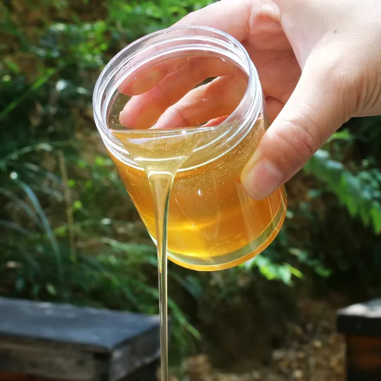 【华老黑专属】椴树蜂蜜3瓶