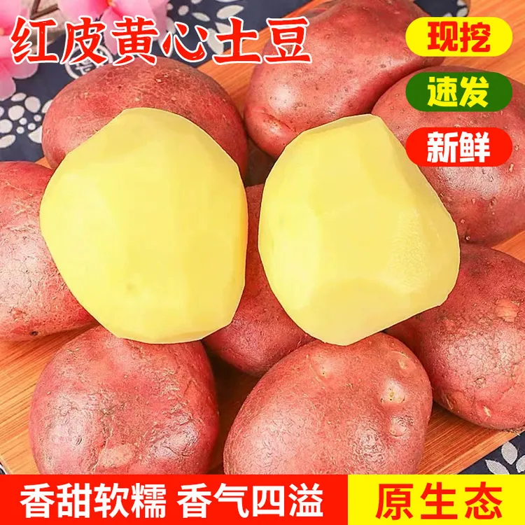 【真便宜】云南红皮土豆 黄心土豆新鲜马铃薯便宜货多