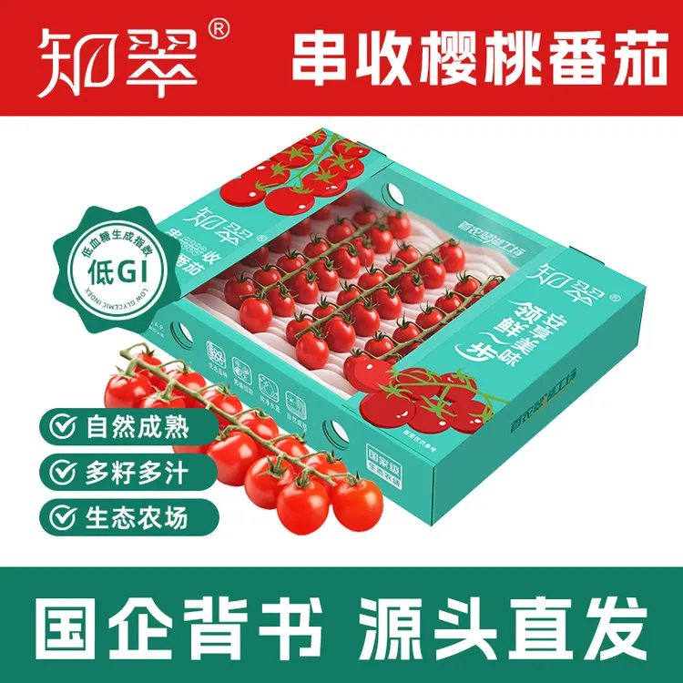 【知翠】串收樱桃番茄礼盒 国企品质 低GI无土栽培
