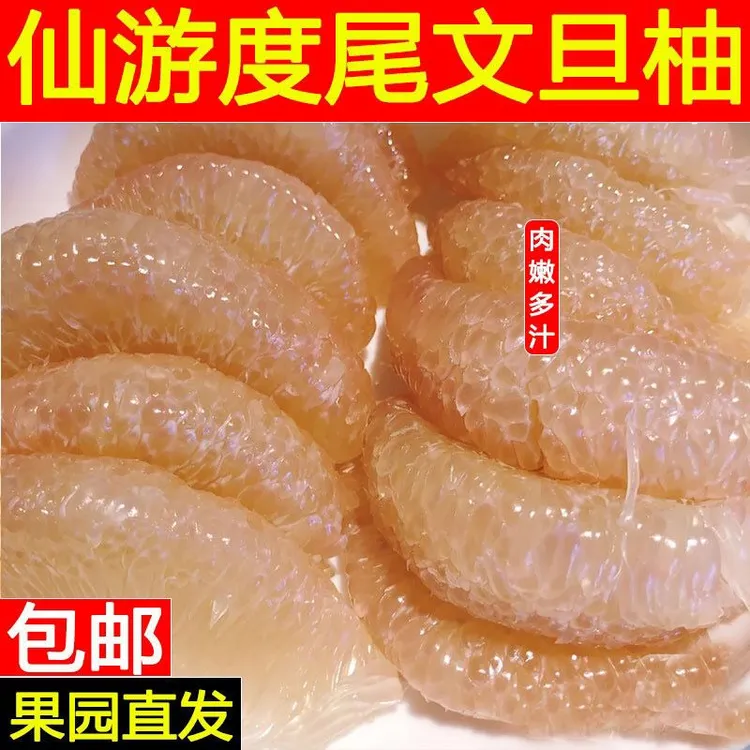 正宗度尾文旦柚-黑羊&月野兔专属