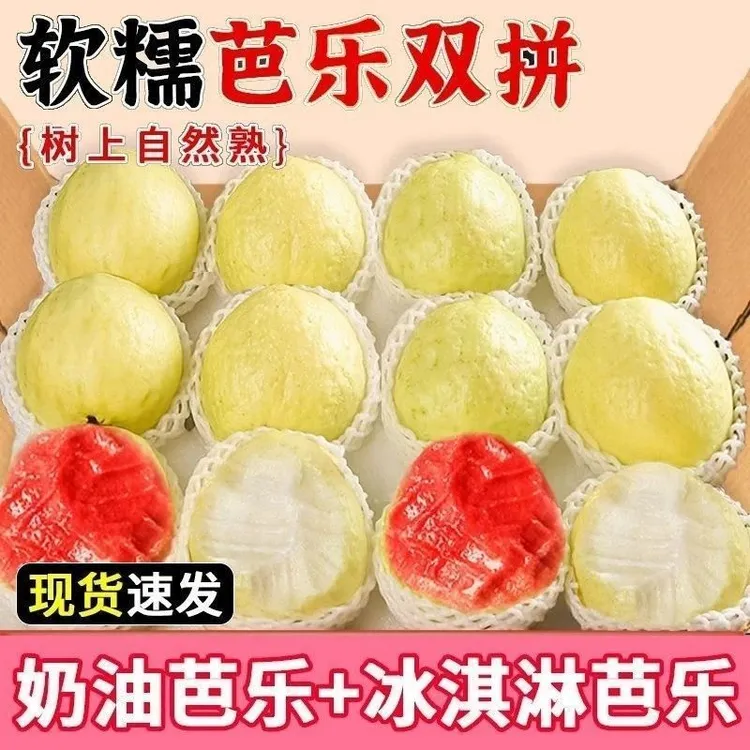 【产地直发】 奶油白芭乐软糯香甜红心芭乐冰淇淋般口感坏果包赔