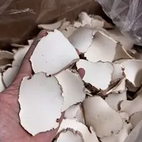 【吴哥推荐】虎奶片 煲汤好物