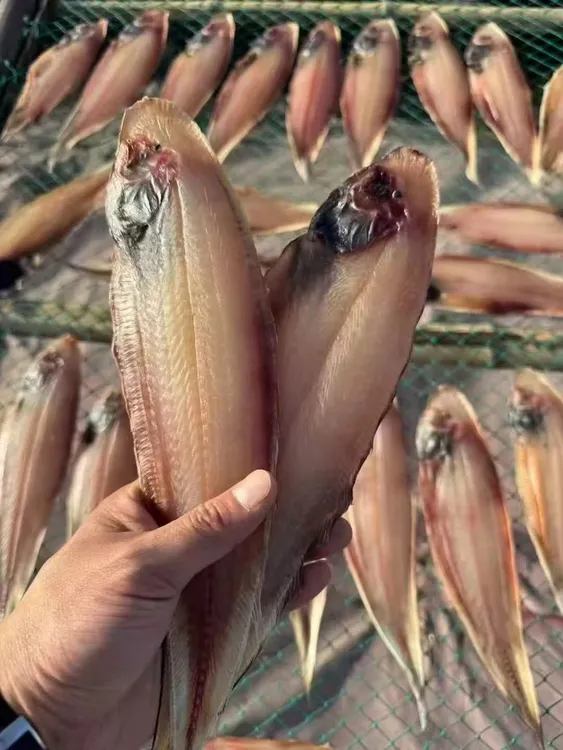 舟山特产 玉秃鱼鲞 微咸自然风干 200克/袋 今年新货