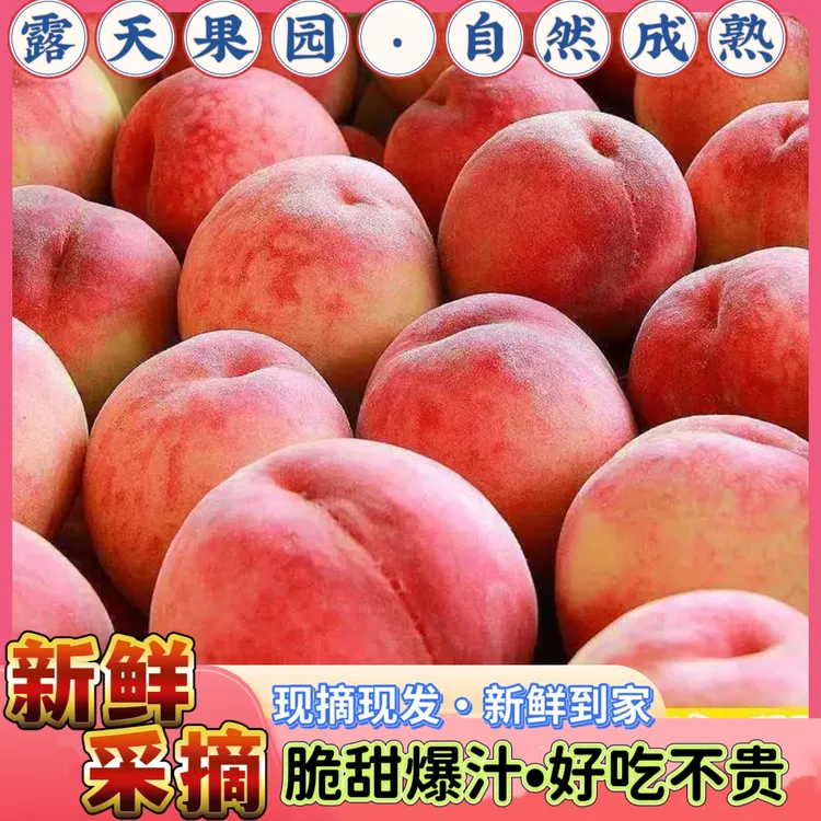 【顺丰包邮】砀山水蜜桃脆甜桃新鲜应季水果软硬双吃水蜜桃脆蜜桃