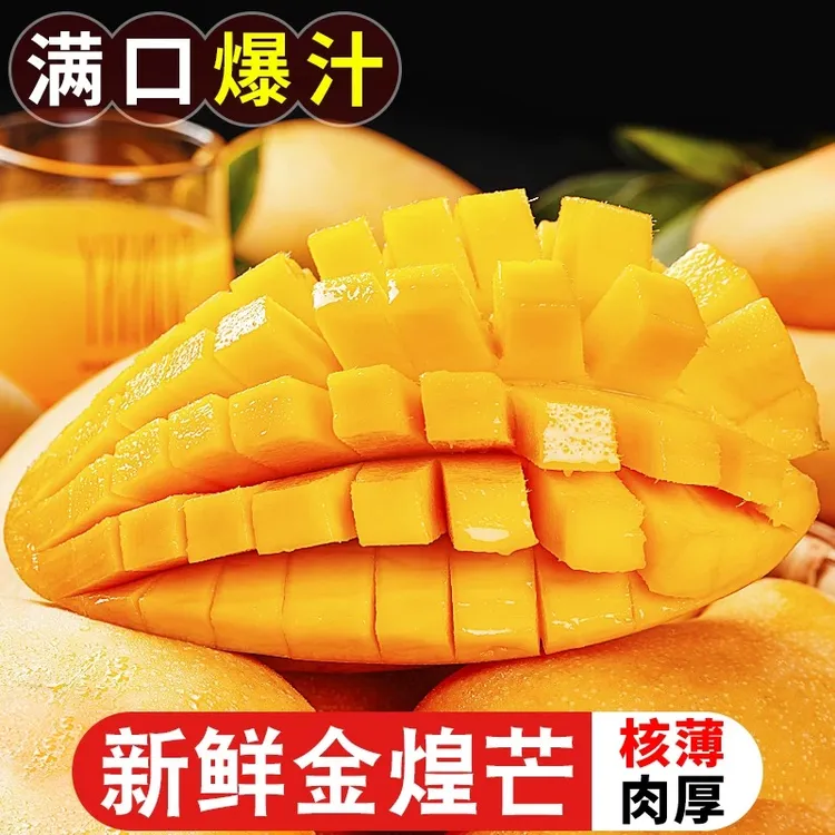 T1【催熟食用】正宗海南金煌芒5斤/10斤新鲜应季香甜多汁现摘现发