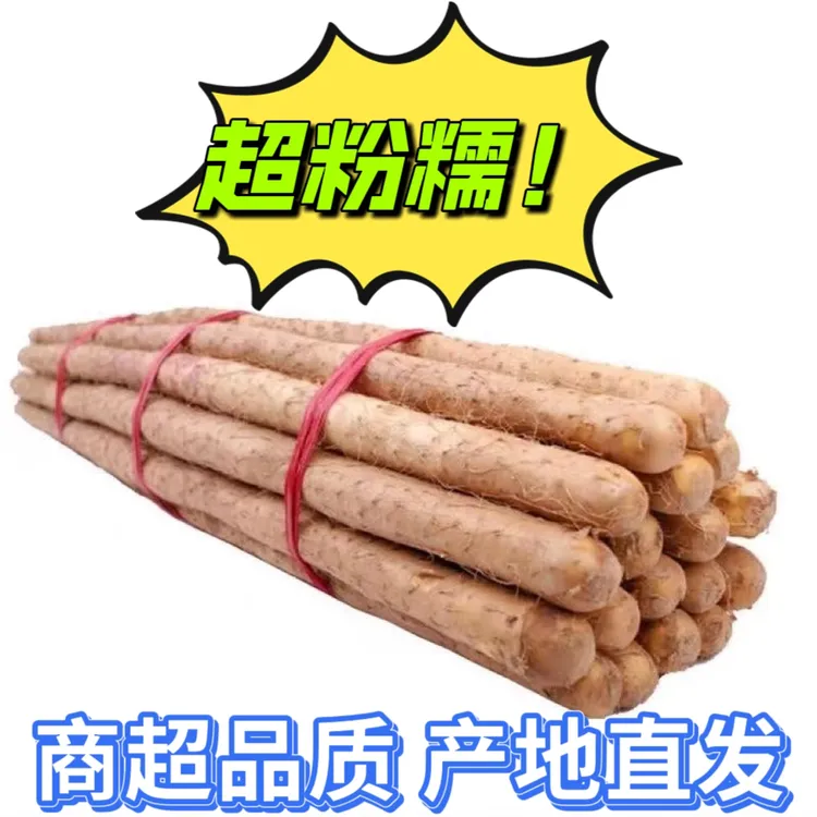 【粉糯滋补】正宗垆土铁棍山药特大铁棍山药新鲜现挖甜糯蔬菜淮山