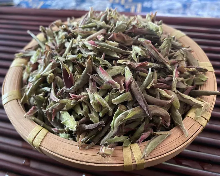 2025年头春荒野紫芽苞云南大雪山紫芽苞白茶古树茶散料