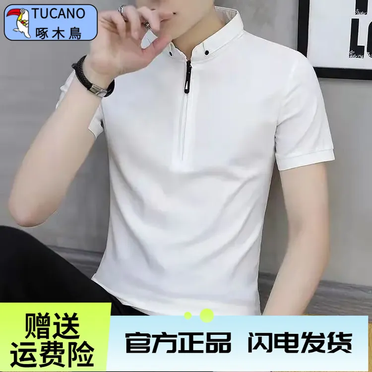带领翻领夏短袖恤男衫冰丝立领色男士休闲百搭凉感体恤丁达尔穿搭