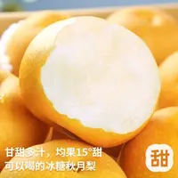 【乡村助力B】秋月梨脆甜多汁细嫩化渣4.5-5斤装