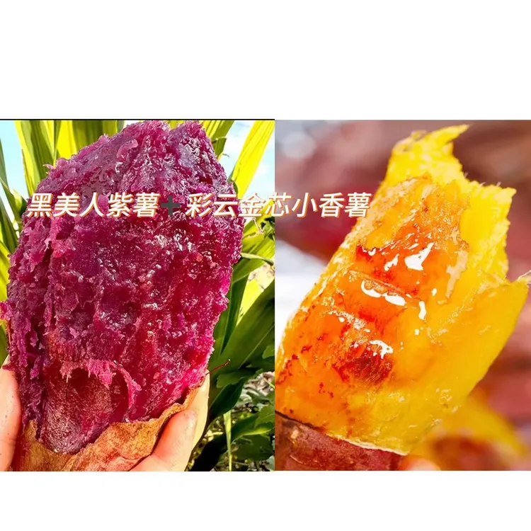 【双拼组合装】组合高山黑美人紫薯+彩云金芯小香薯甜糯粗粮红薯