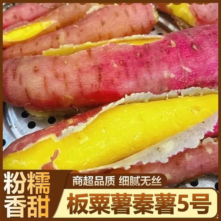 正宗陕西板栗红薯新鲜地瓜沙地番薯糖心甜糯蜜薯香甜当季整箱包邮