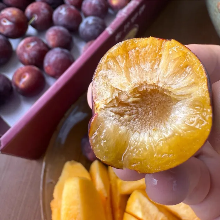 顺丰冷链四川汶川脆红李子新鲜应季脱骨李脆甜多汁爽口水果蜂糖李