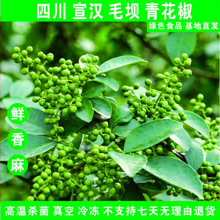 四川宣汉毛坝2025年正宗鲜花椒藤椒350g真空包装冷冻鲜麻椒青花椒