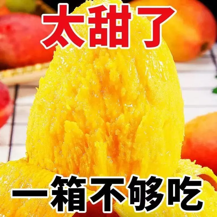 【福利】海南贵妃芒果新鲜采摘应季鲜果LB