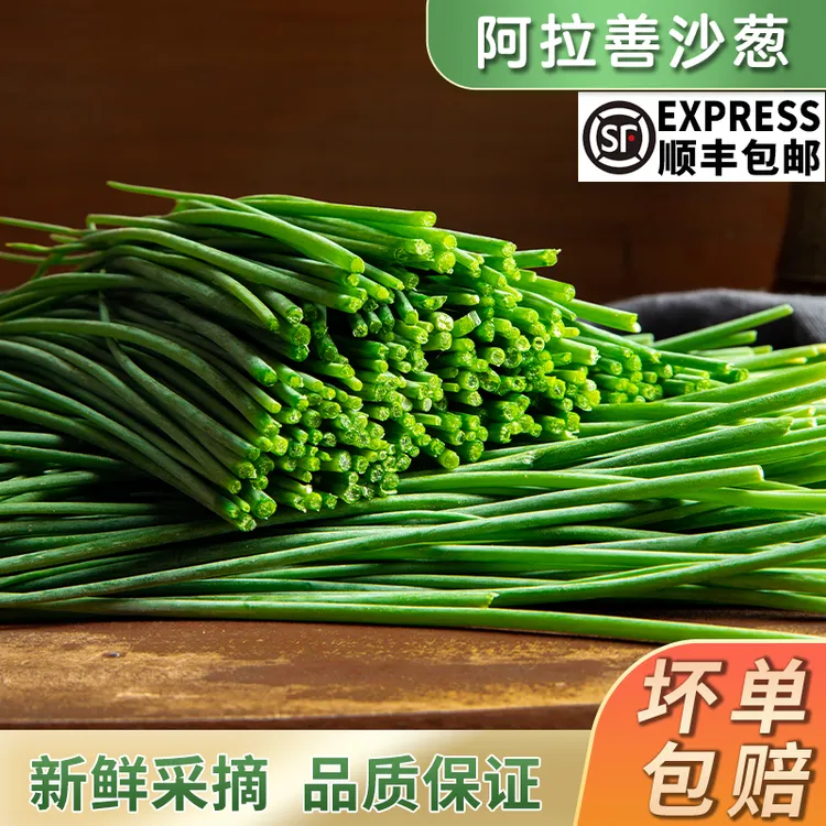 【沙葱 现摘现发】顺丰包邮！新鲜品质头茬蒙古韭蔬菜凉拌炒菜饺子馅