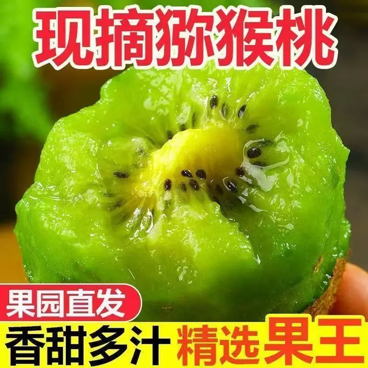 绿心猕猴桃奇异果正宗陕西新鲜采摘水嫩多汁维C丰富