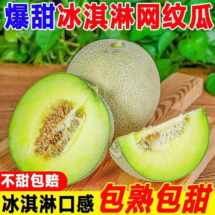 香甜多汁网纹蜜瓜脆甜当季新鲜水果