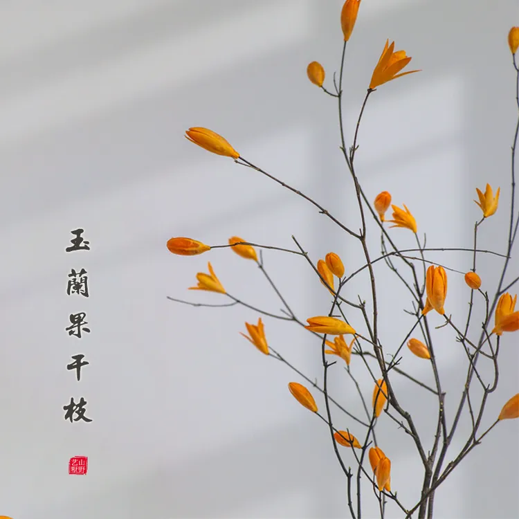 势梵造物玉兰花干树枝长枝枯天然风干花枝禅意侘寂风客厅装饰摆设
