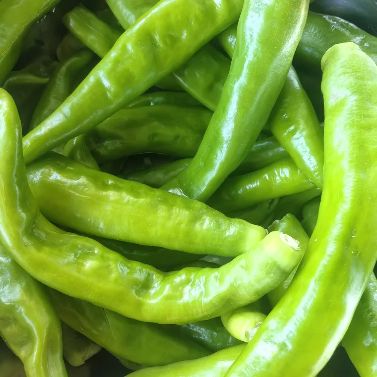 湖南湘西新鲜辣椒特辣爆辣