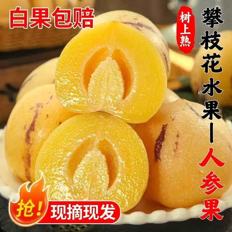 攀枝花水果人参果树上熟鲜果新鲜人参果七彩黄肉圆果人参果包邮