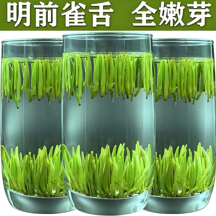 初艺2025头春头采明前雀舌口粮茶