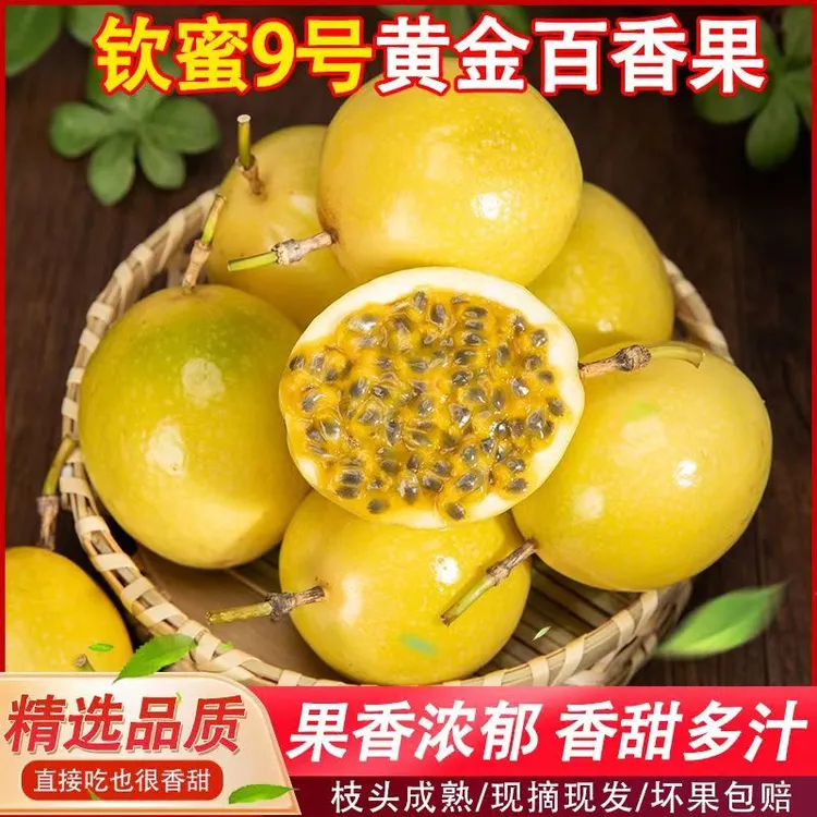 广西海南新鲜钦蜜9号黄金百香果香甜多汁产地直发（会有皱皮）