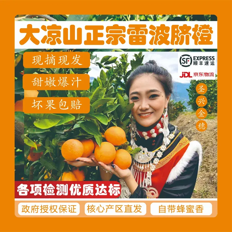 【直播专属】雷波脐橙有机种植 现摘四川大凉山脐橙孕妇老人小孩