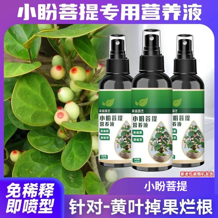 小盼菩提专用营养液促生长结果保果专治黄叶掉果盆栽有机复合肥