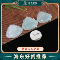 海东鉴宝翡翠吊坠多样性发其一D160