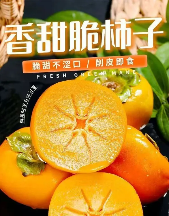 正宗巧克力脆柿子新鲜水果当季脆甜硬柿子无核火晶柿黄甜柿包邮3