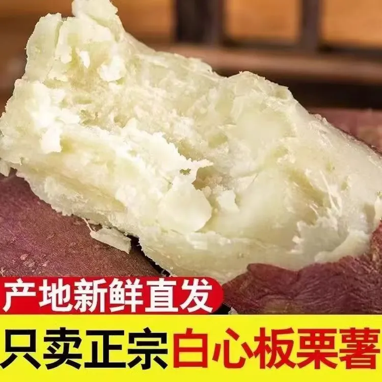 【正宗】新鲜白心板栗薯沙地现挖老品种番薯红皮地瓜