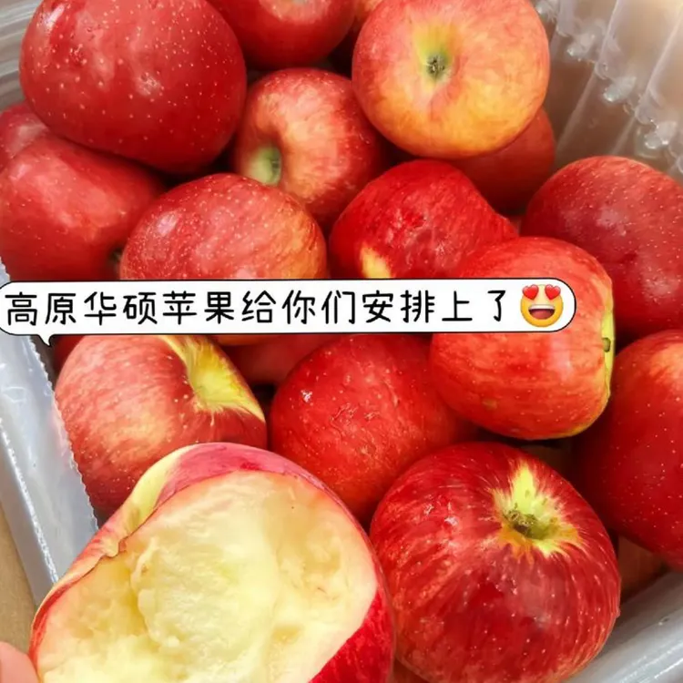 华硕苹果苗基地直发现挖现发基地苗品种有保障品种纯正易栽种