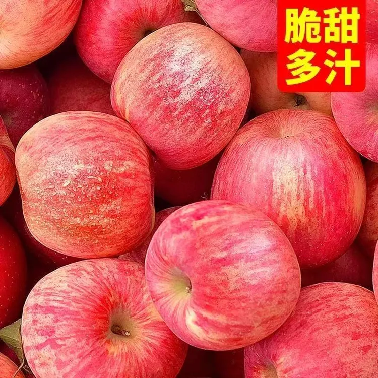 陕西洛川红富士脆甜苹果当季新鲜水果
