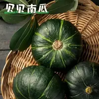 新疆贝贝南瓜甜糯应季蔬菜辅食4.5-5斤包邮