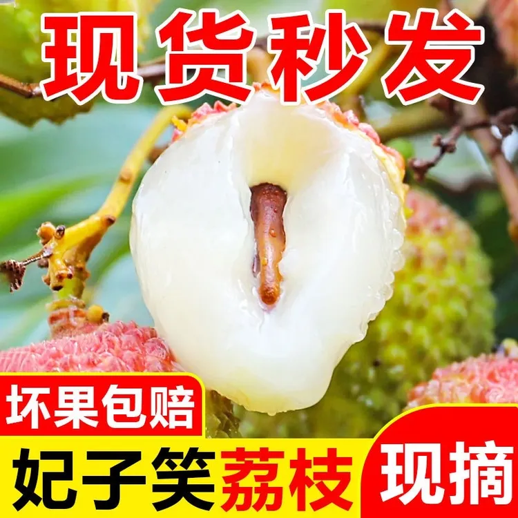 【顺丰空运】海南妃子笑荔枝新鲜现摘清甜多汁顺丰包邮当季水果